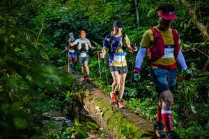 BIB: 
                            <button type="button" onclick="openModal(18922709)" class="btn btn-primary btn-sm float-right btn-popup" data-toggle="modal" data-target=".modal-high-quality">
                        <i class="fas fa-shopping-cart"></i> Add to Cart
                    </button>
                                            <button type="button" onclick="isThisMe(18922709, true)" class="btn btn-success btn-sm float-right btn-popup btn-isme hidden" data-toggle="tooltip" data-placement="bottom" title="นี่คือรูปของคุณใช่ไหม คลิกที่นี่เพื่อเอาเข้าอัลบั้ม">
                        <i class="fas fa-plus"></i> Add to album
                    </button>
                    <button type="button" onclick="isThisMe(18922709, false)" class="btn btn-warning btn-sm float-right btn-popup btn-isnotme hidden">
                        <i class="fas fa-ban"></i> Remove from album
                    </button>